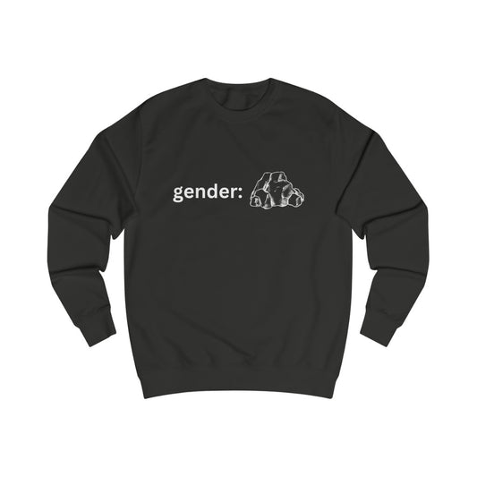 "rocks don't have gender, just like some people" Sweatshirt